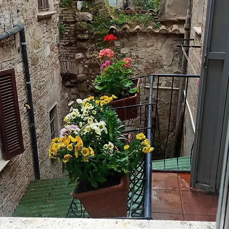 Nido Dell'aquila 아파트 *